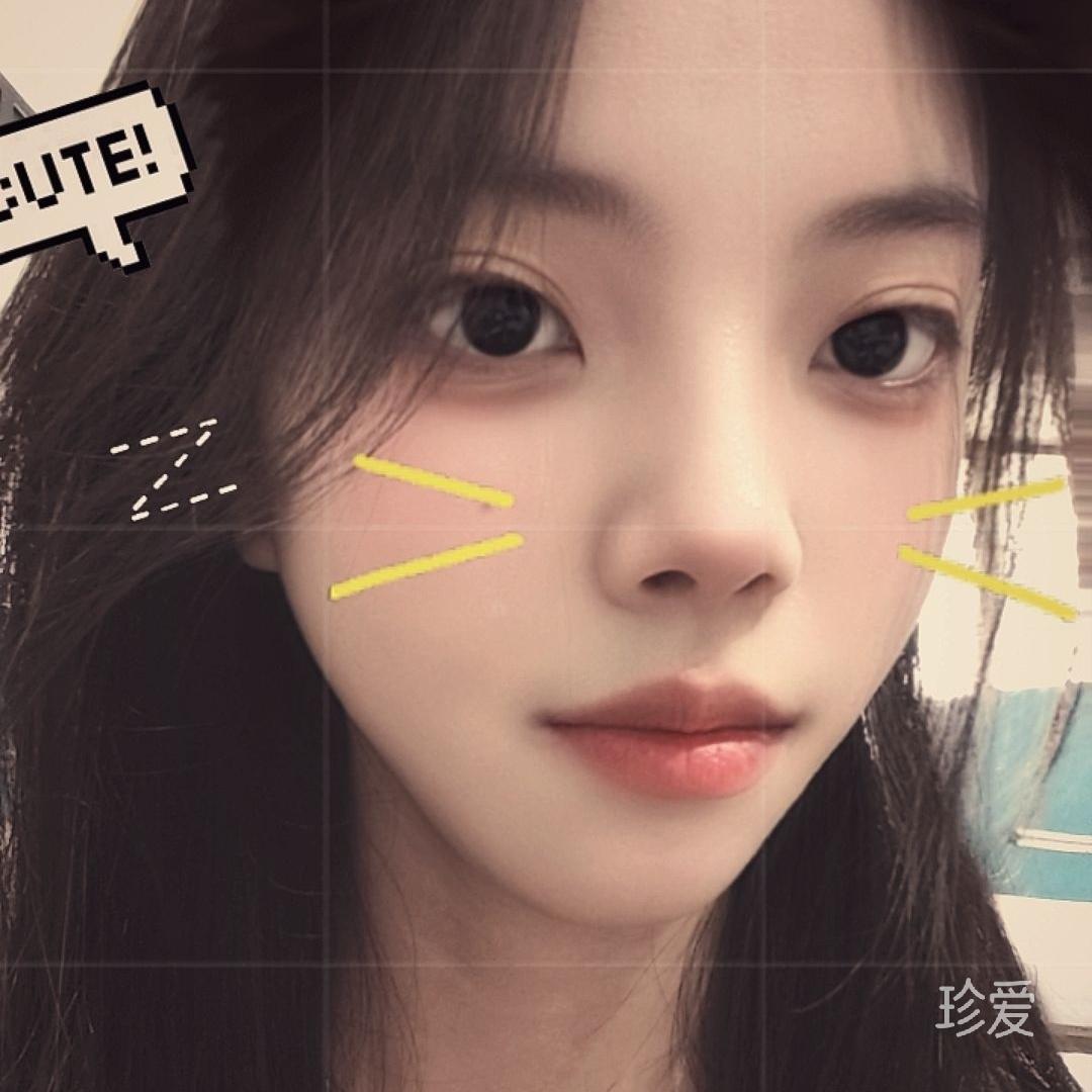 月亮的兔兔