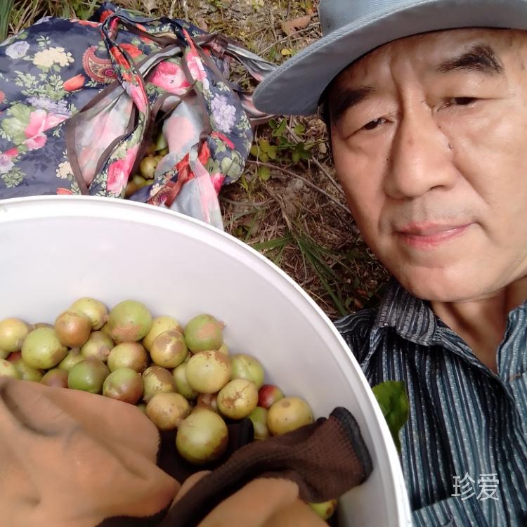 嶺上多白雲(yún)