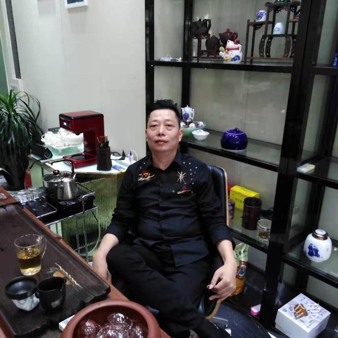 着宸龙御