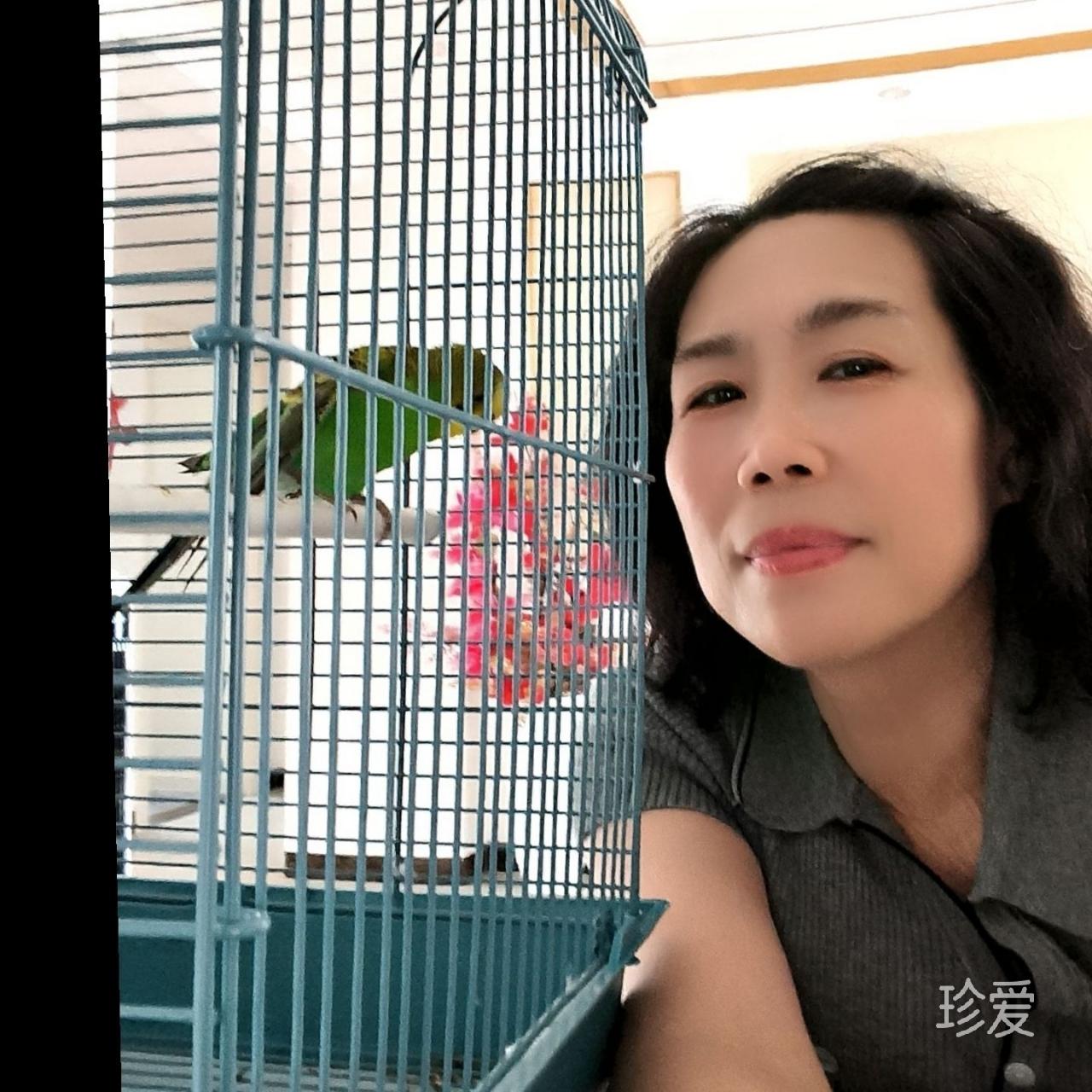 夜渐微凉