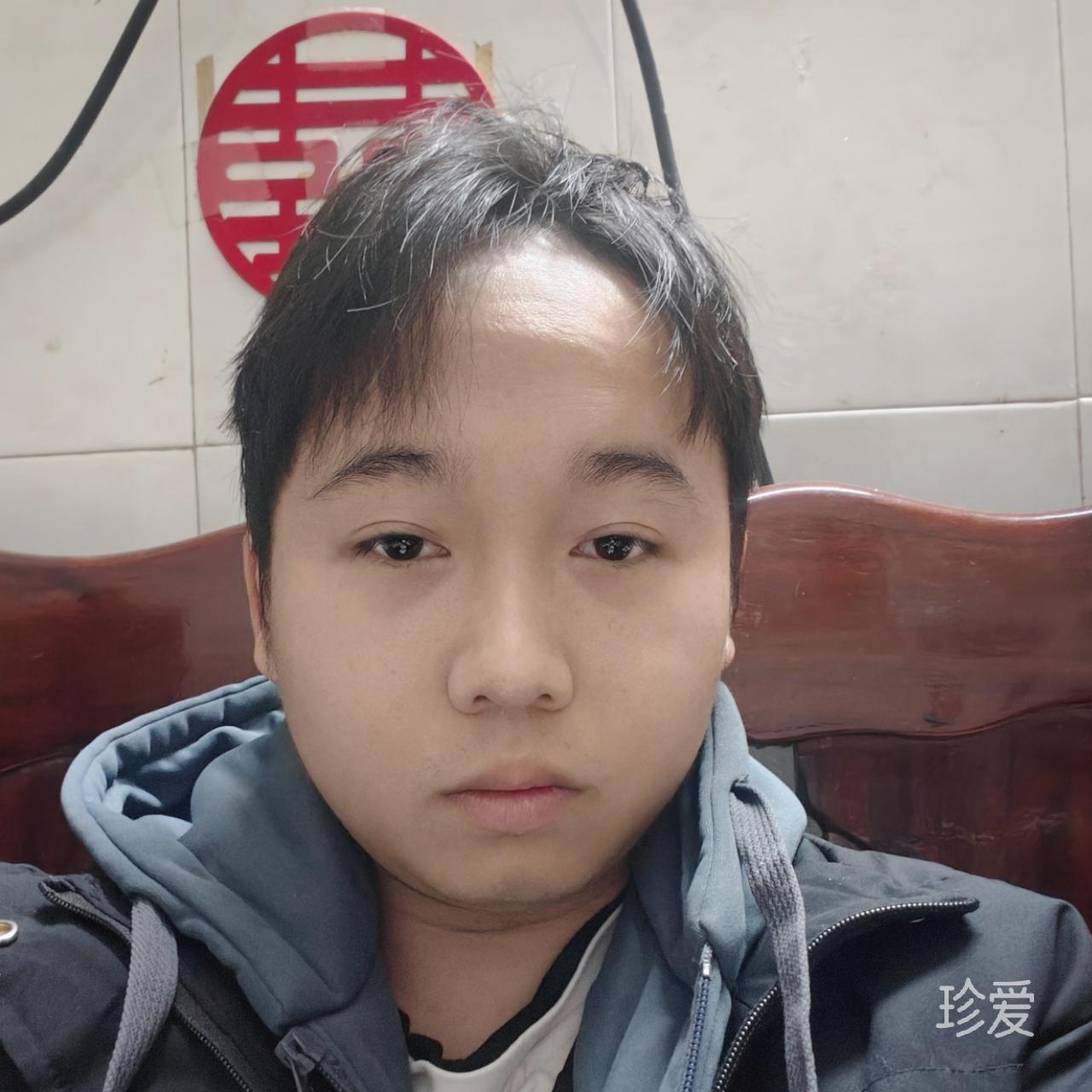 可塑性记忆