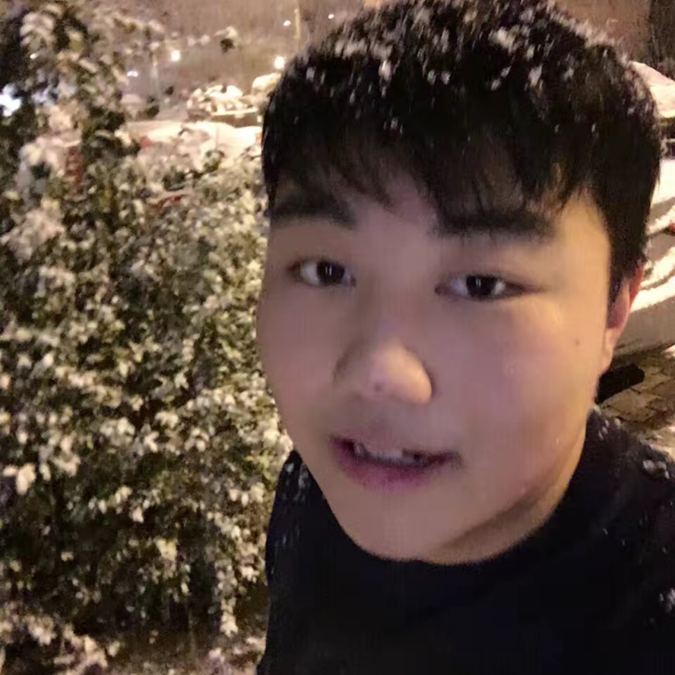 叙利亚雇佣兵