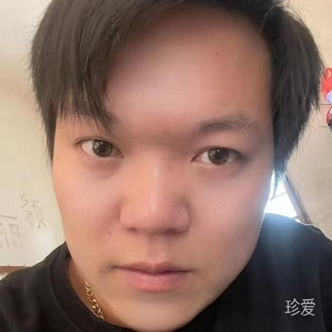 蚂蚁背大象