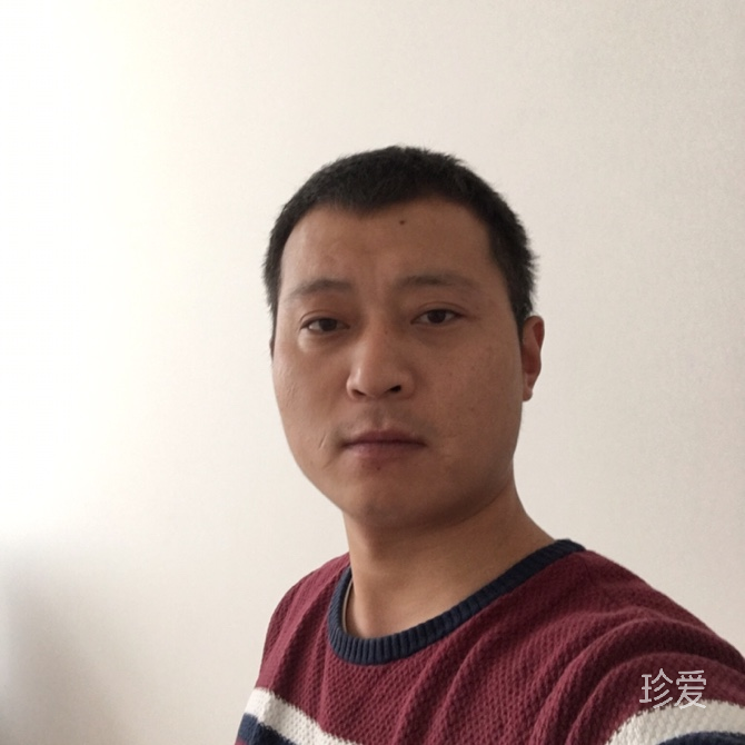 树先生