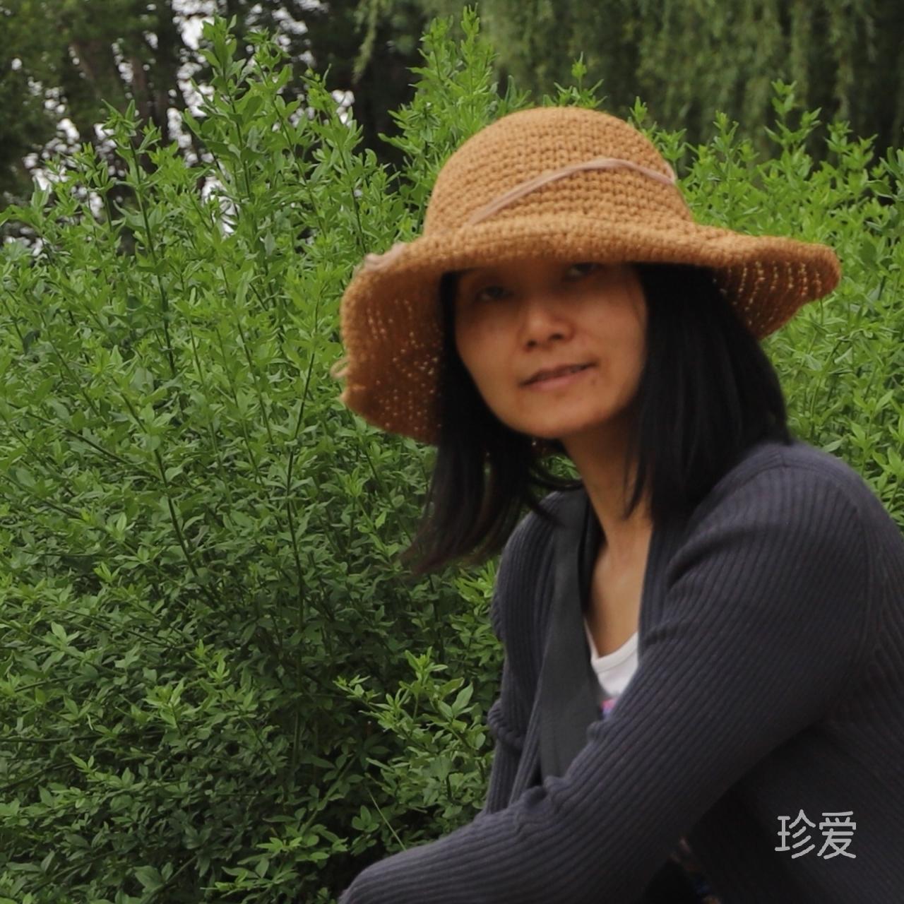 风中的阳光