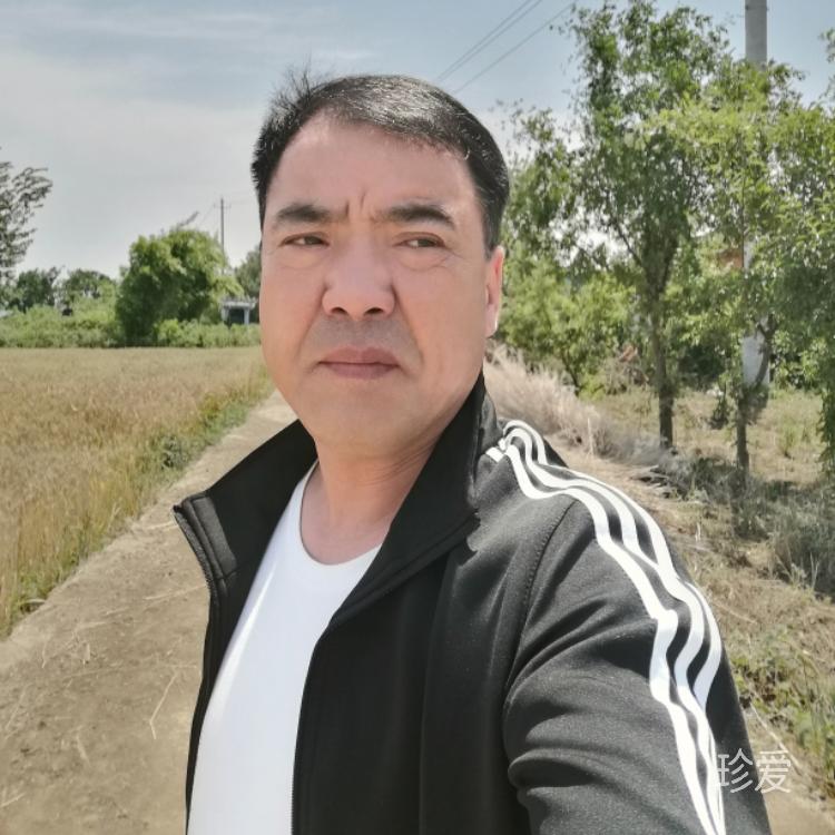 悠然小強(qiáng)