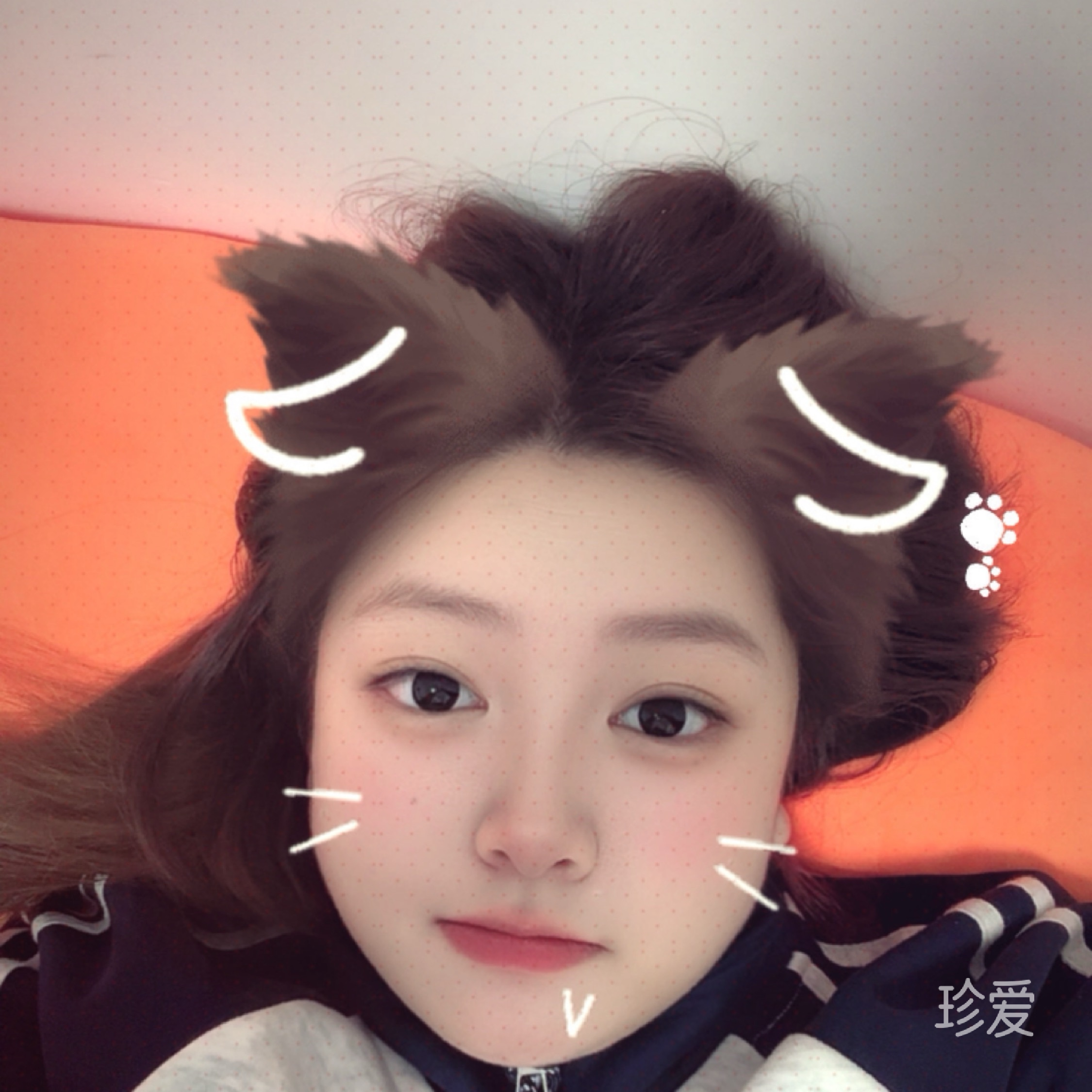 酒歌