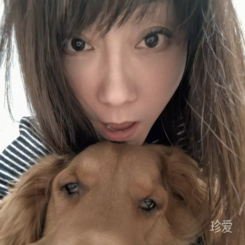 美美