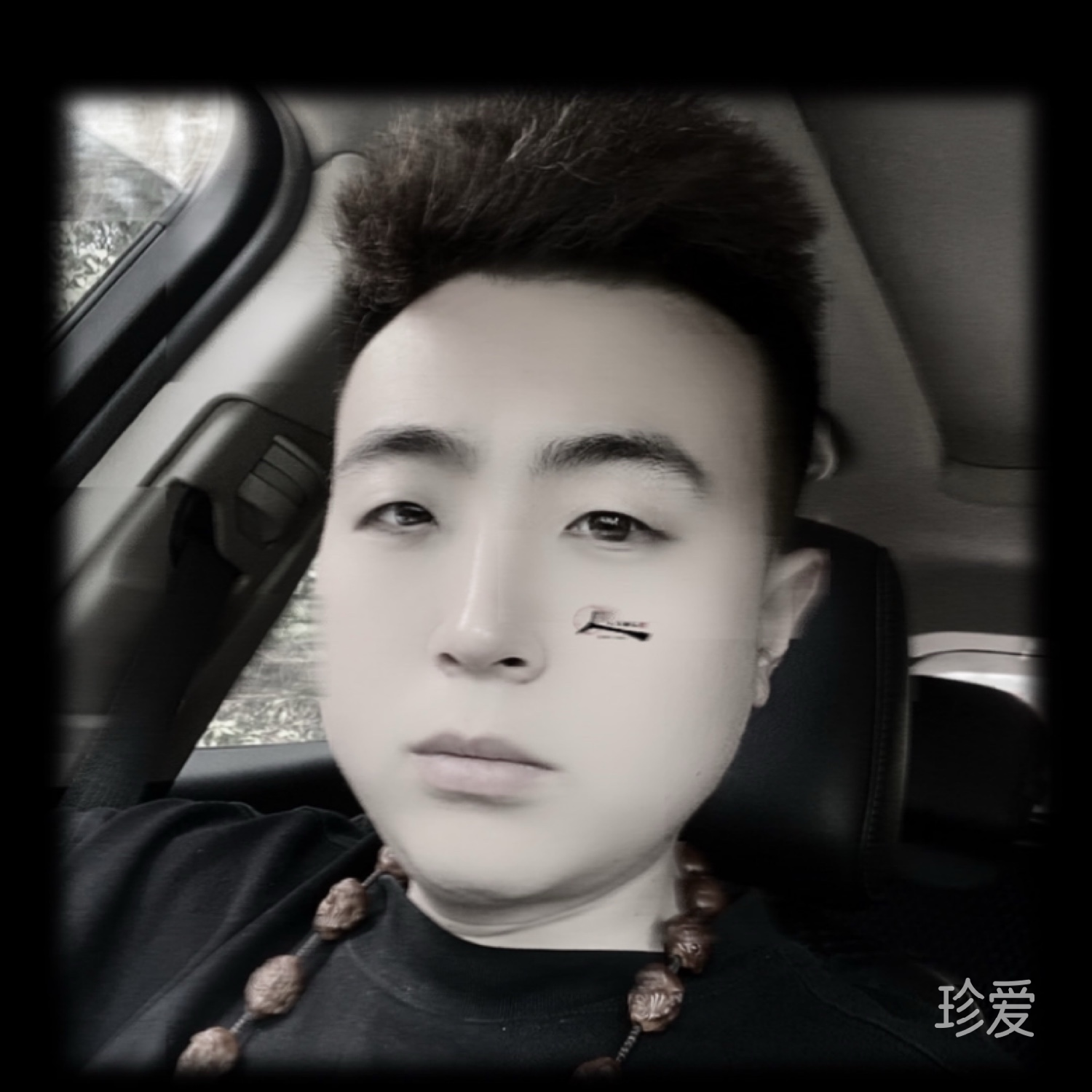 汪汪