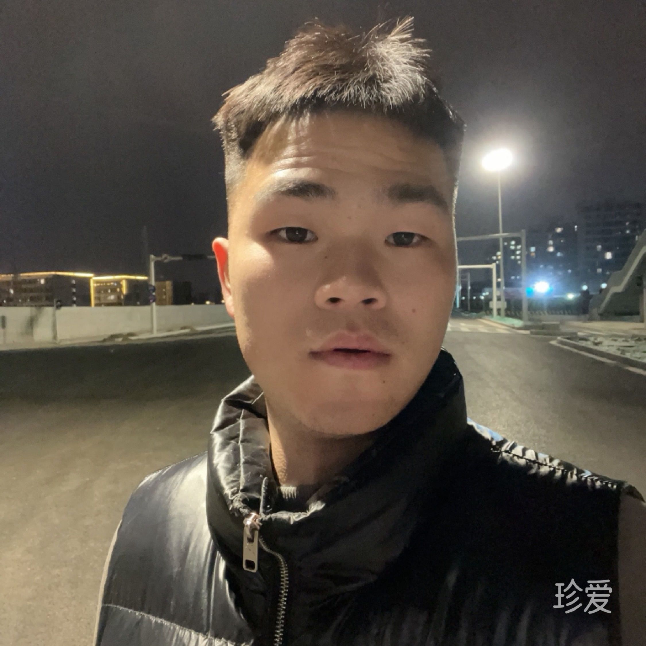 绿森蚂蚁