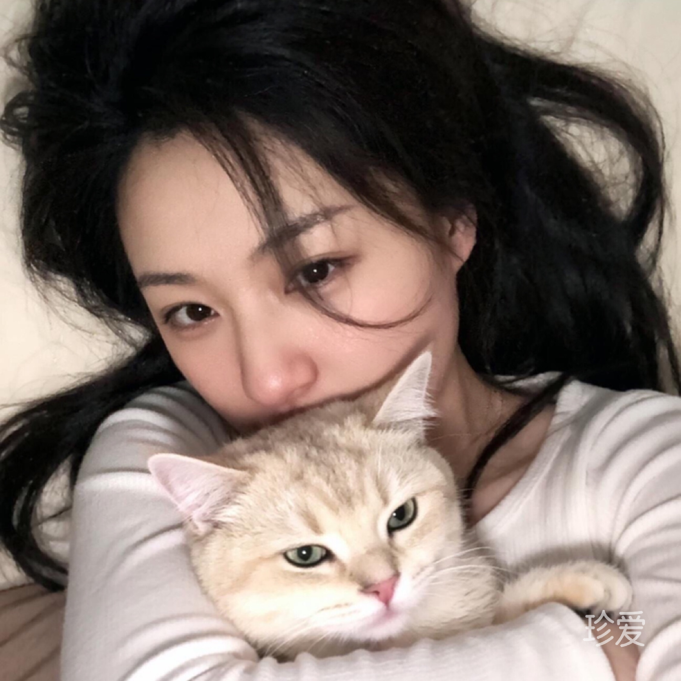 以星