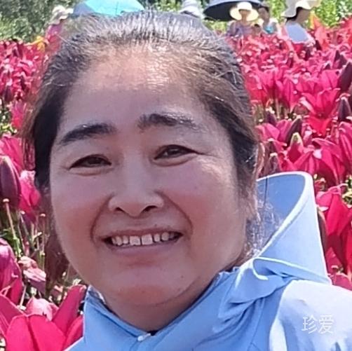 风吹吹