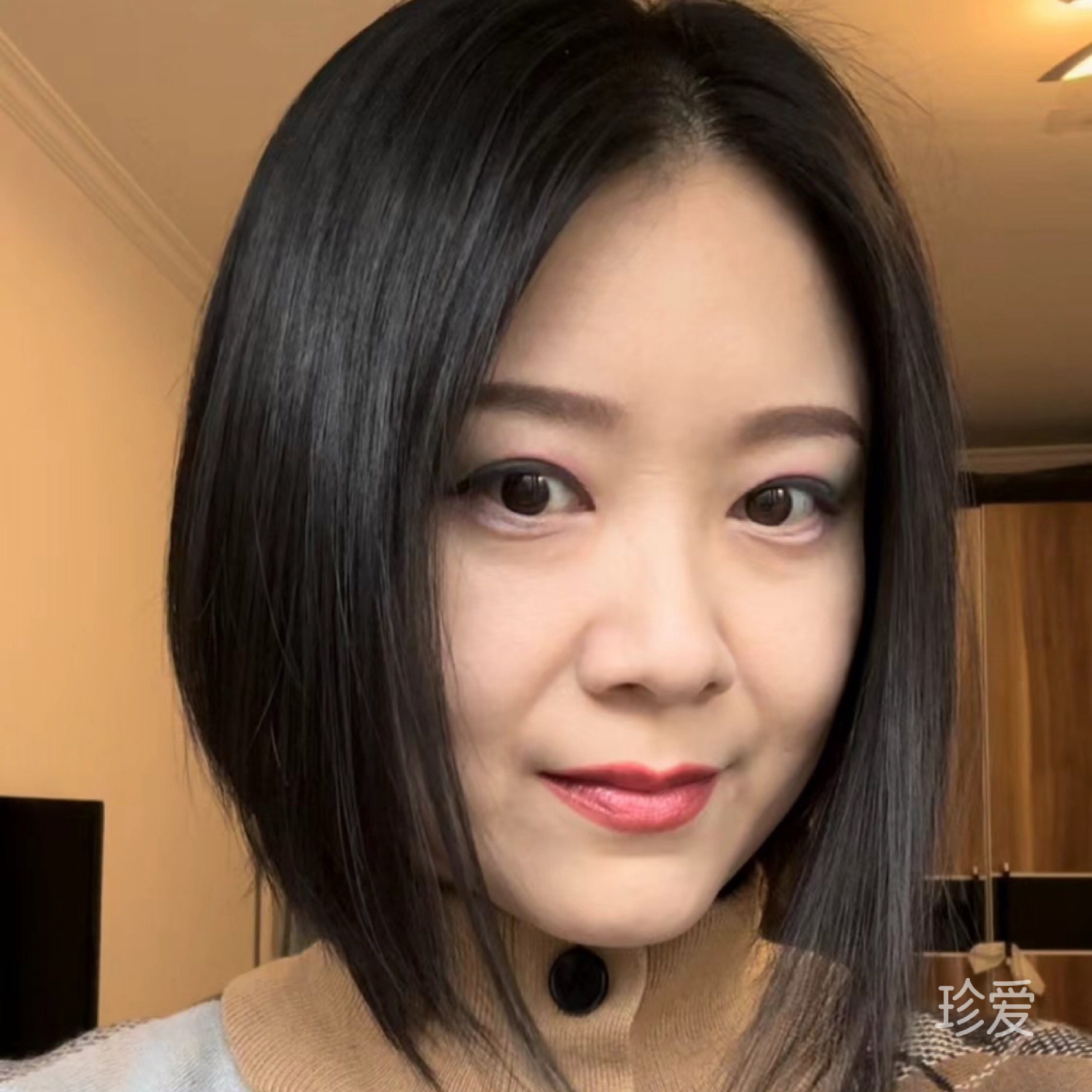 鸽子莫飞