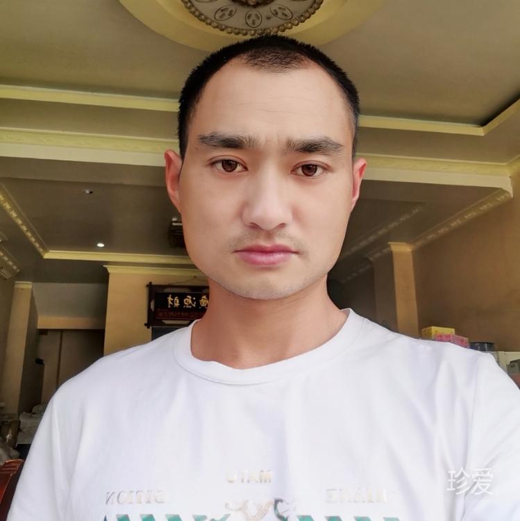 贴心的依靠