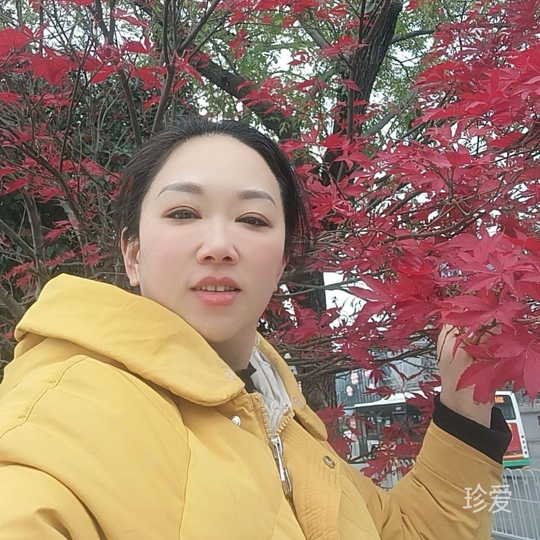 风和日暖