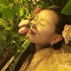 禾禾