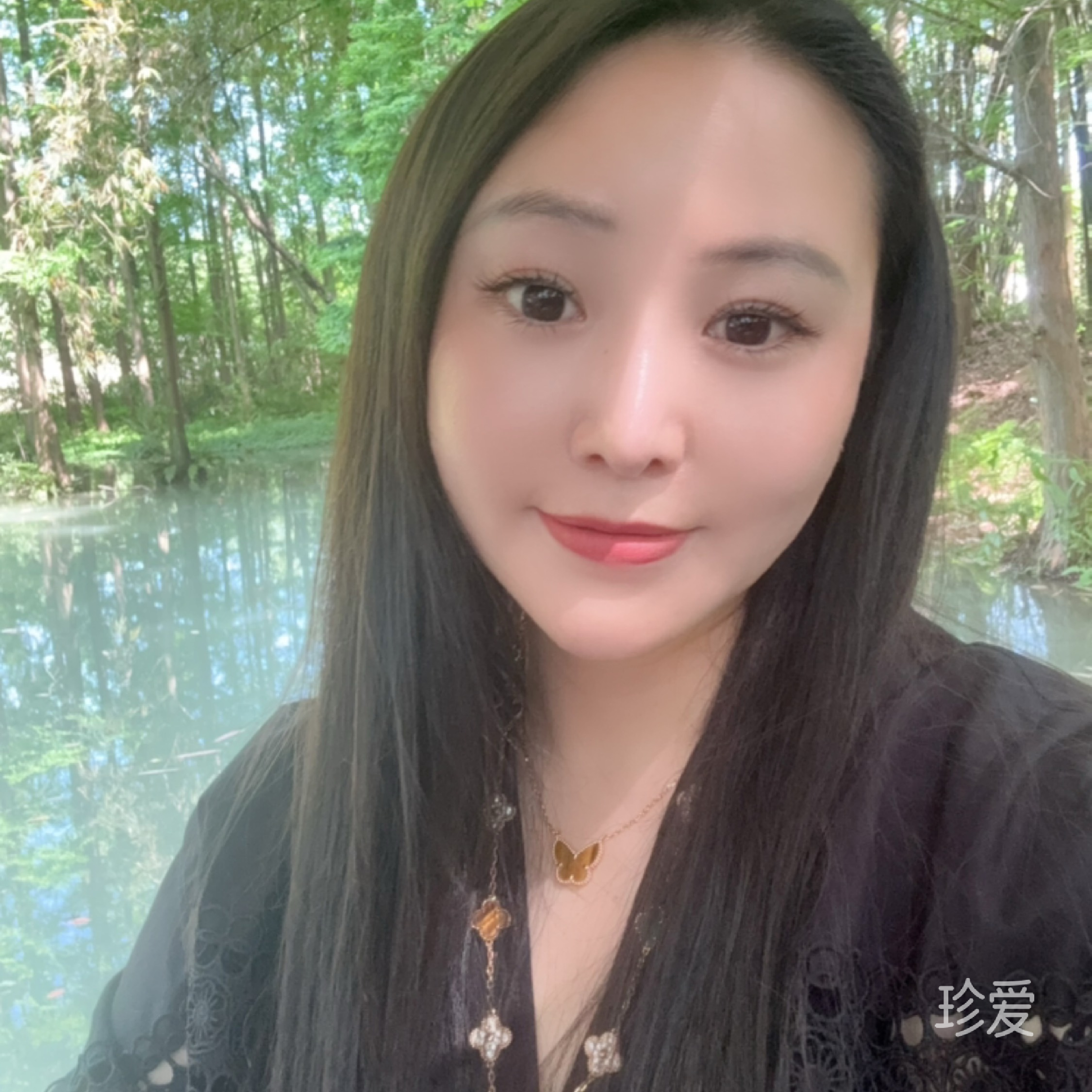二维的蚂蚁