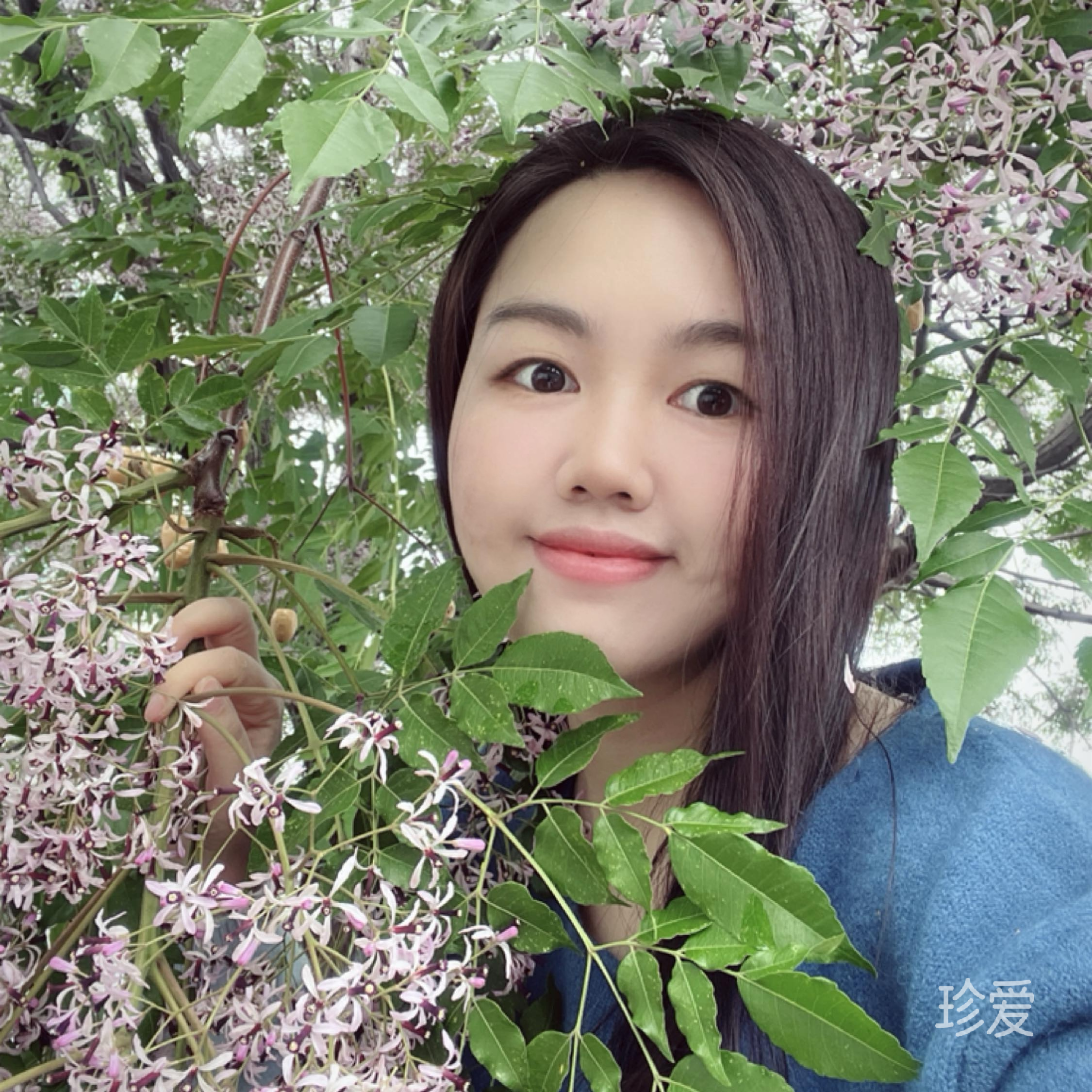 浅浅的快乐