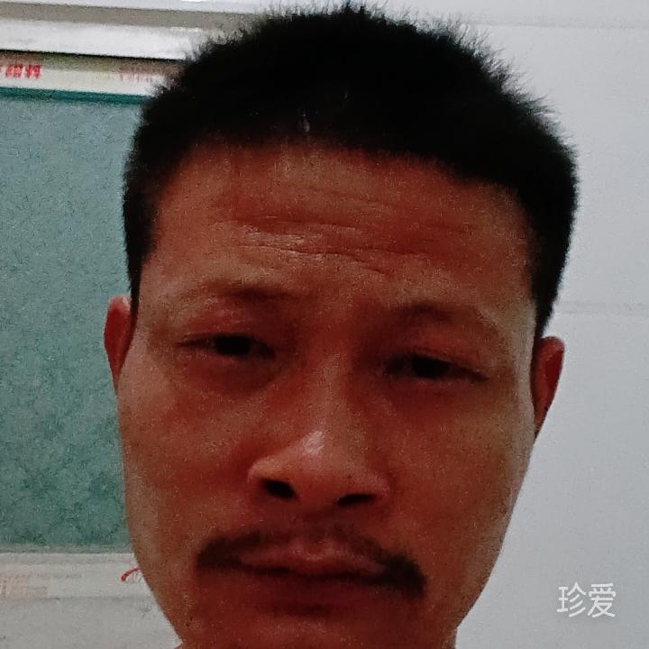 梦里寻你千百度