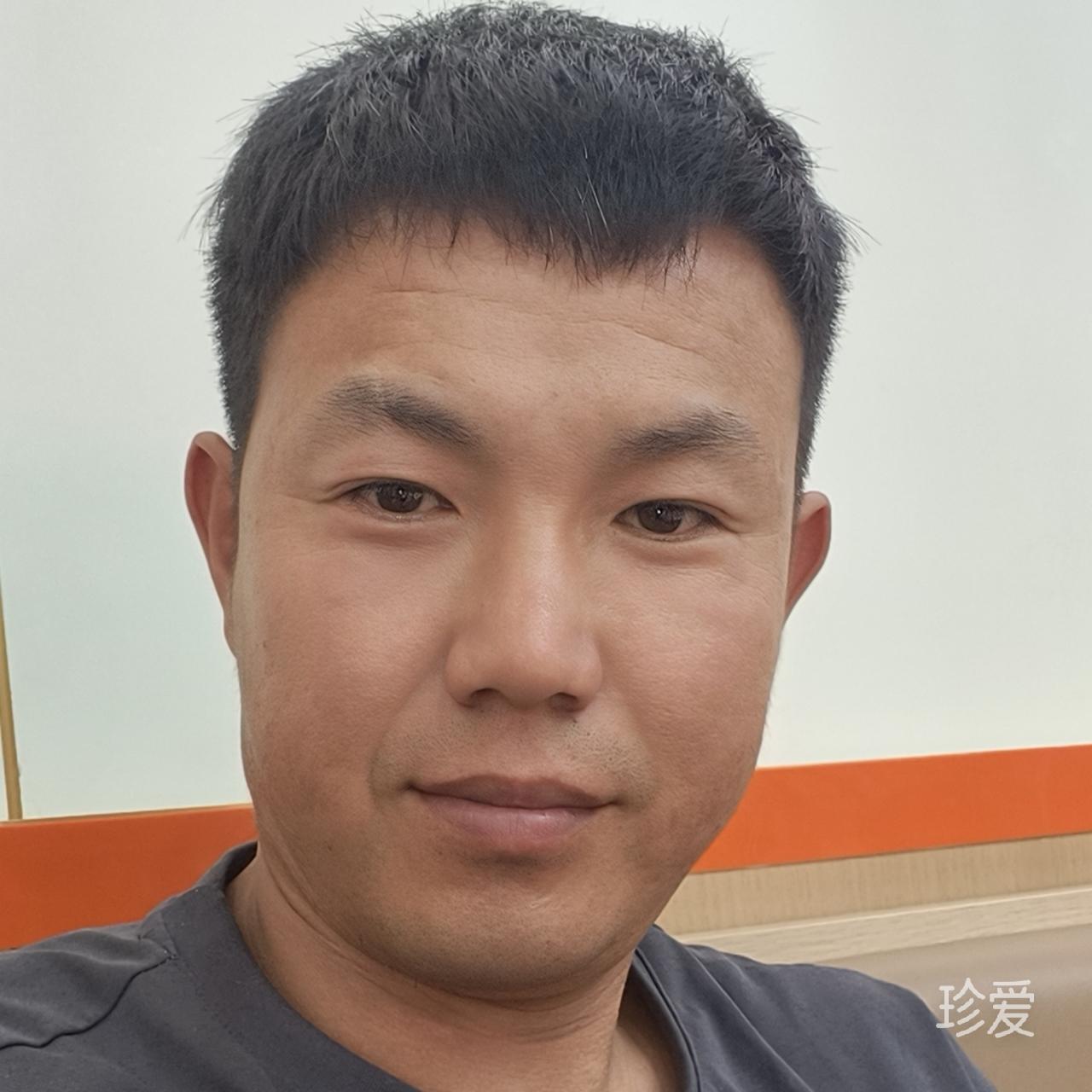 随心而动