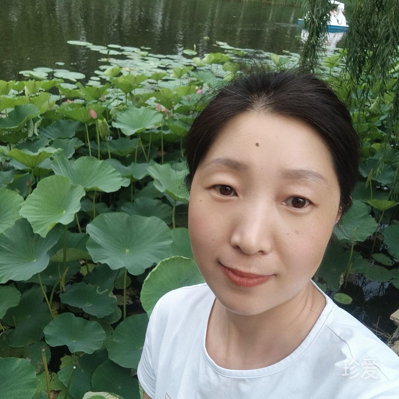 如如不动