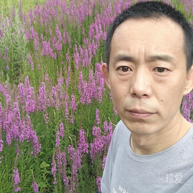 雨后人去樓也空