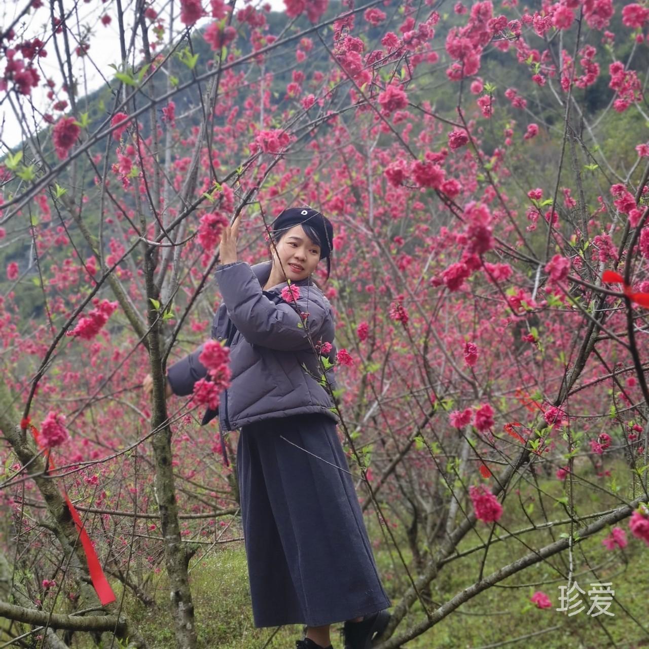 风起蝶舞