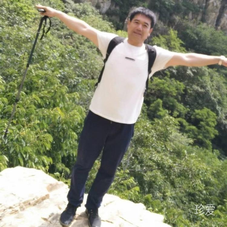 自由飞翔
