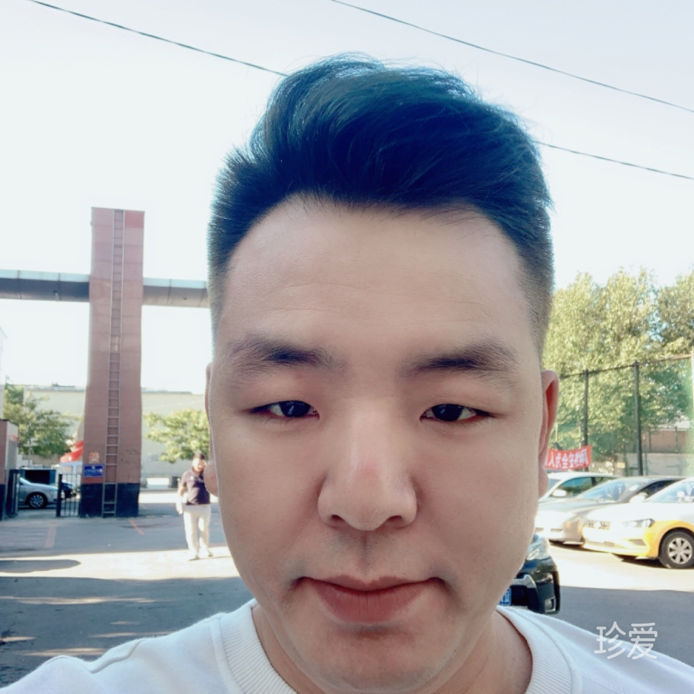 梦在彼岸