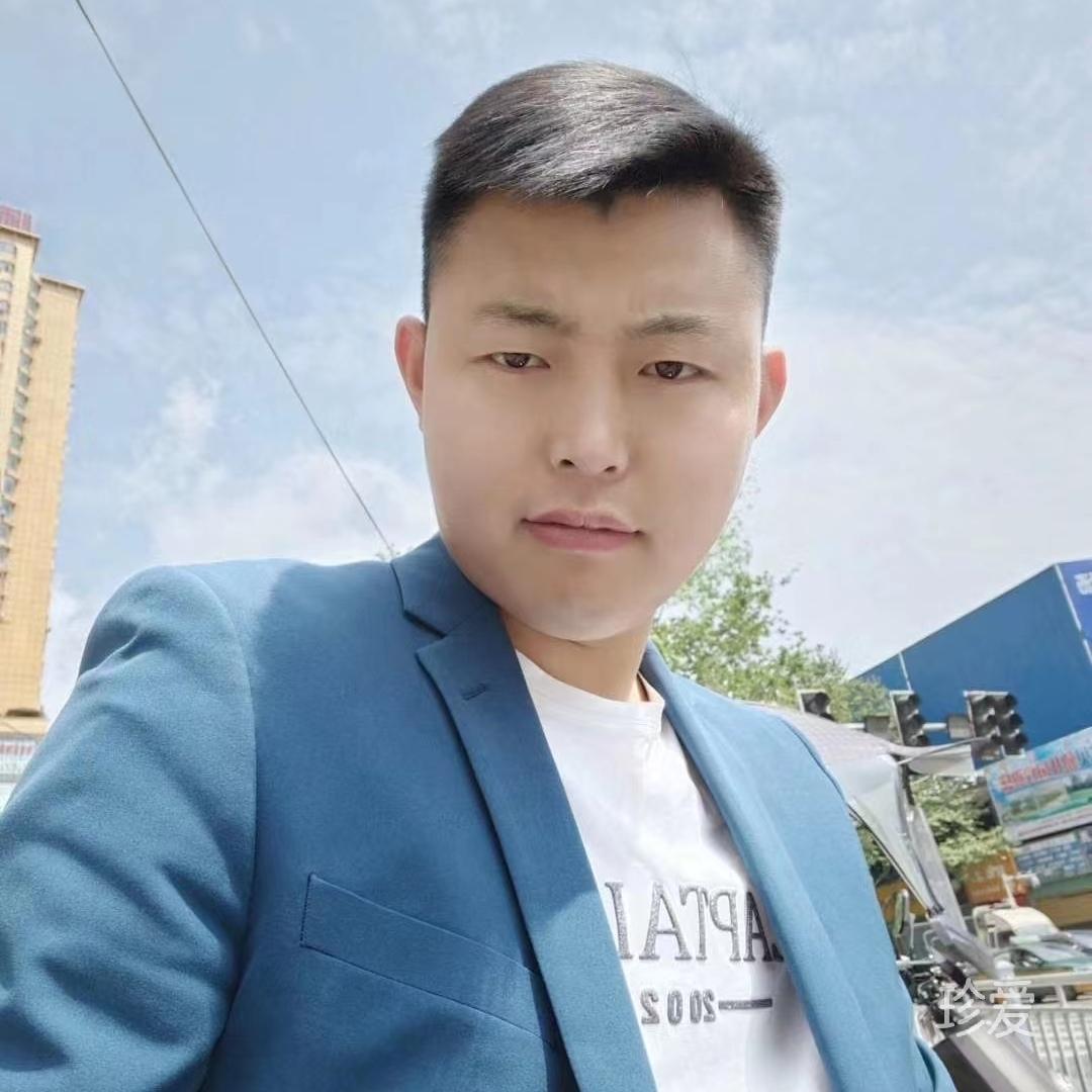 流浪猫的故事
