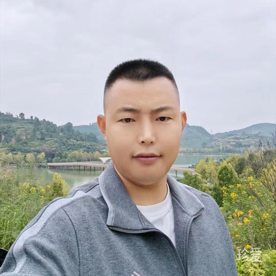 流浪猫的故事