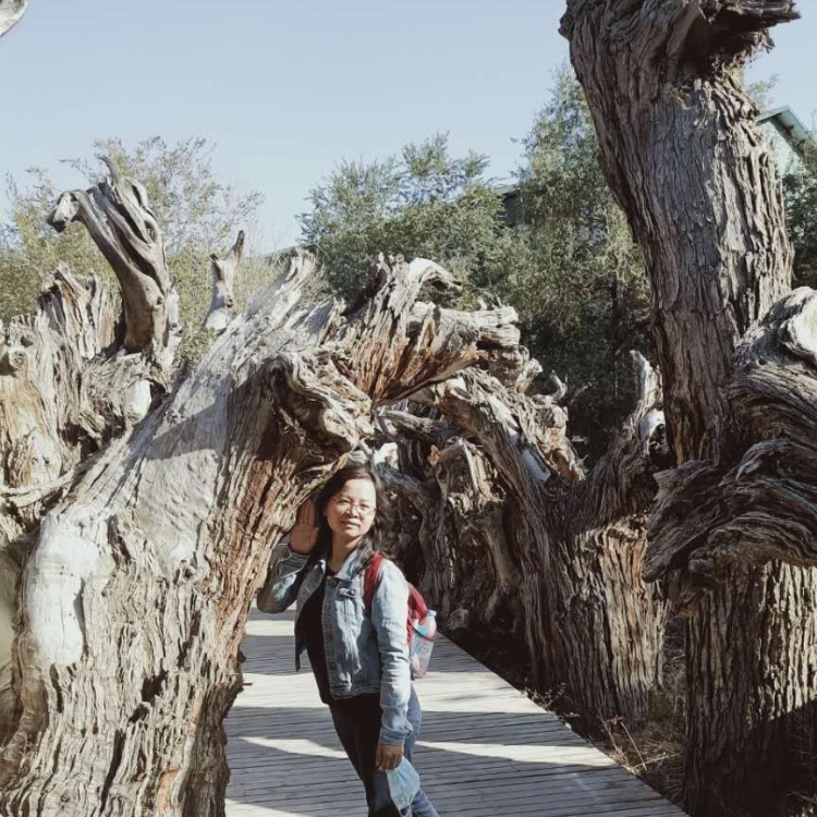 热爱生活的凡人