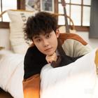 畢達(dá)哥斯拉