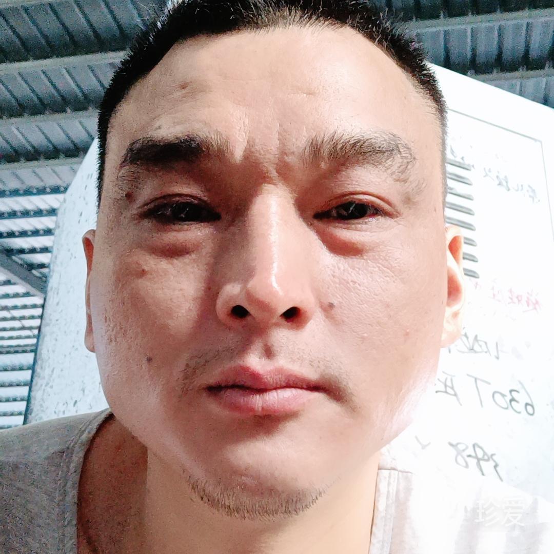 提笼遛狗撸撸猫