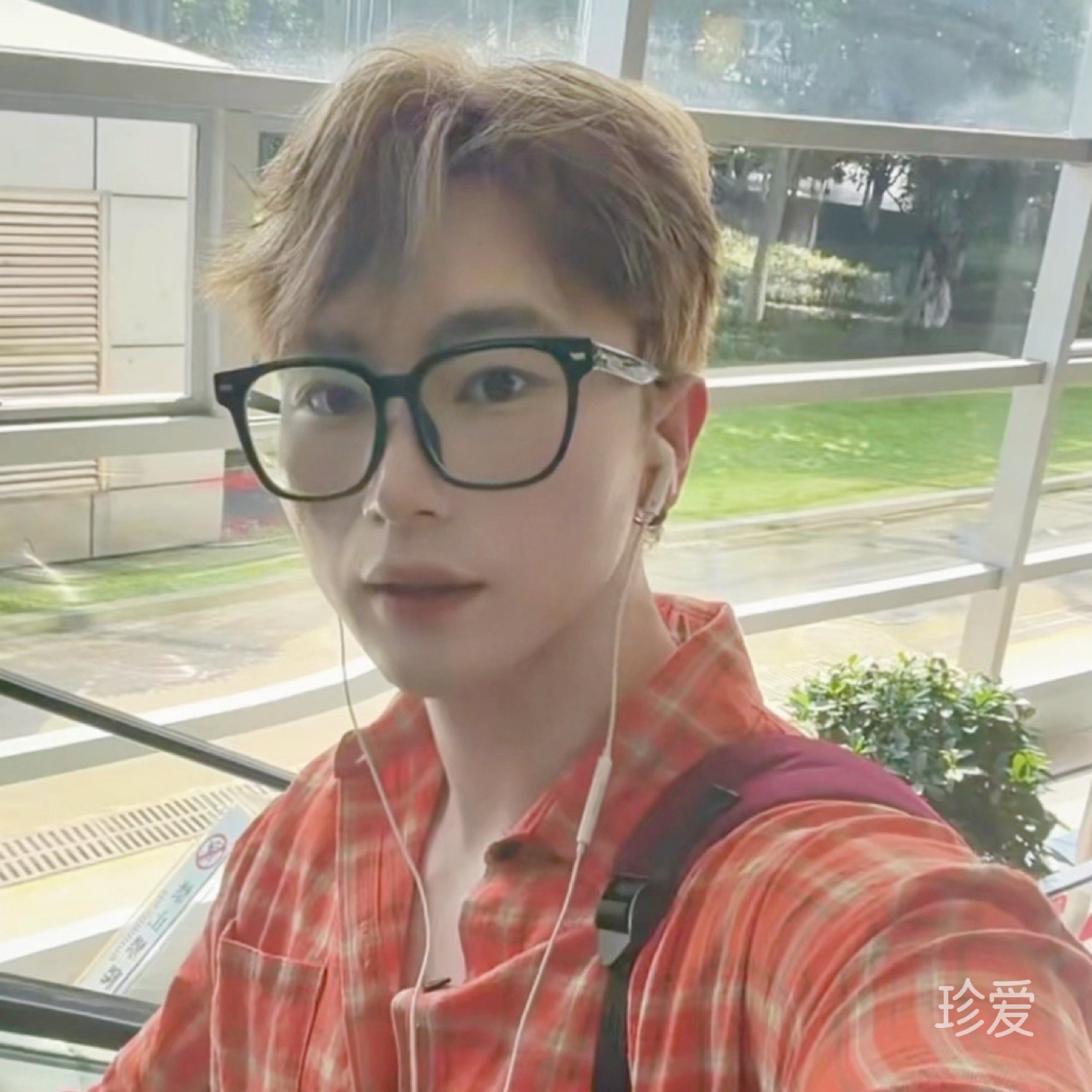 小羊