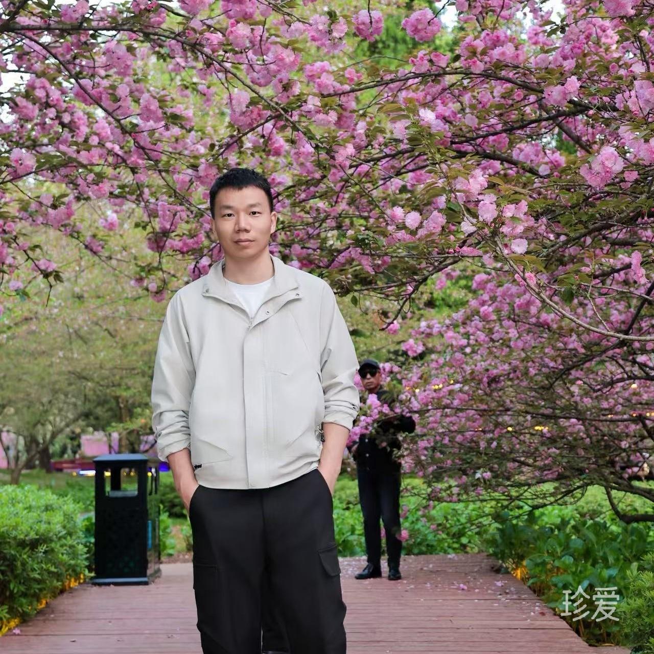 清风徐来