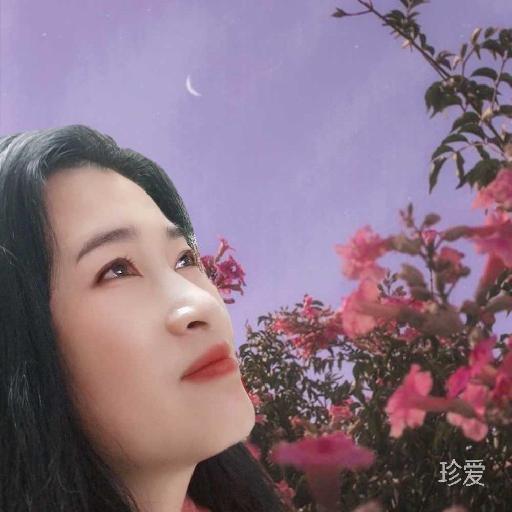 一壶清酒