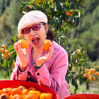 風(fēng)無(wú)歸期