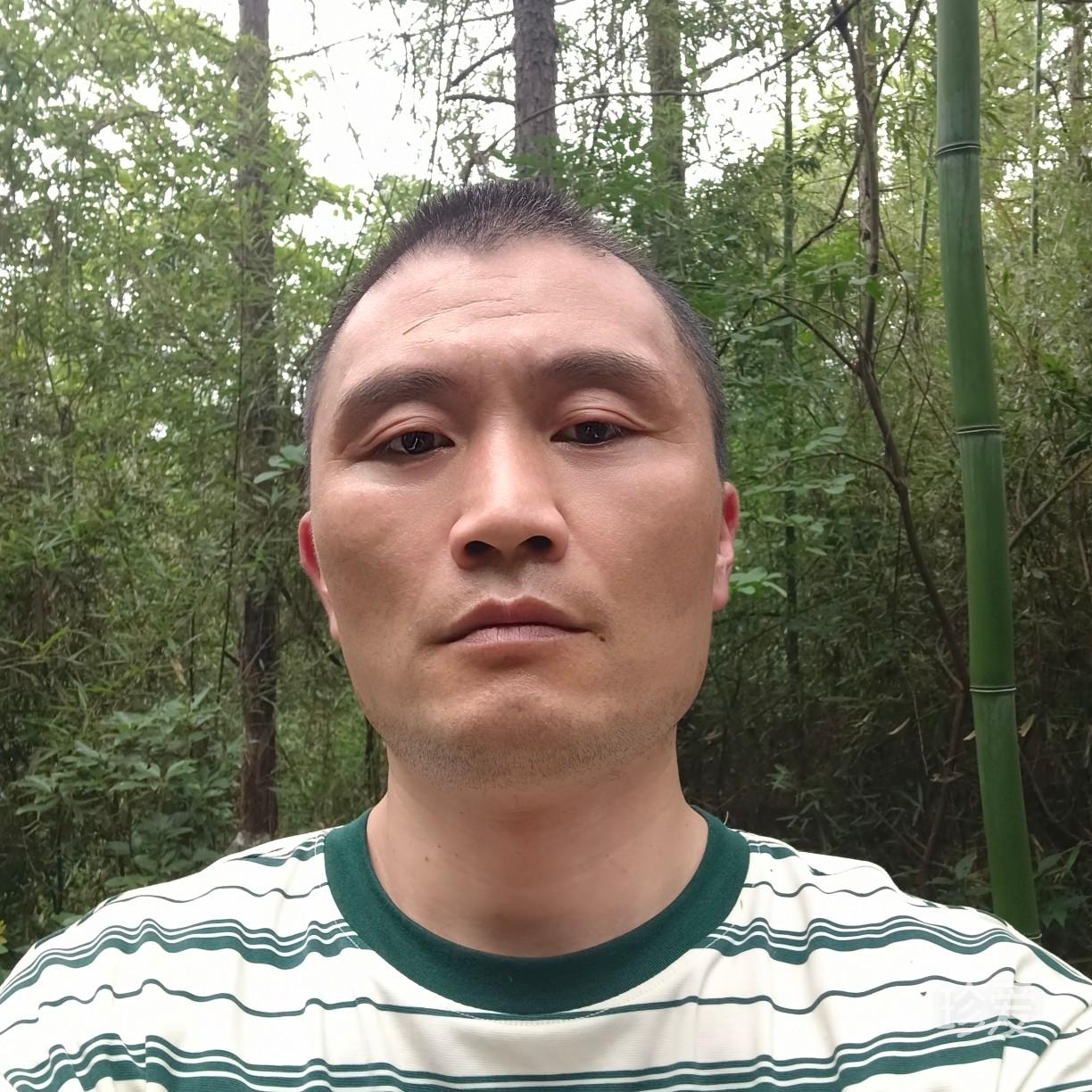 归来