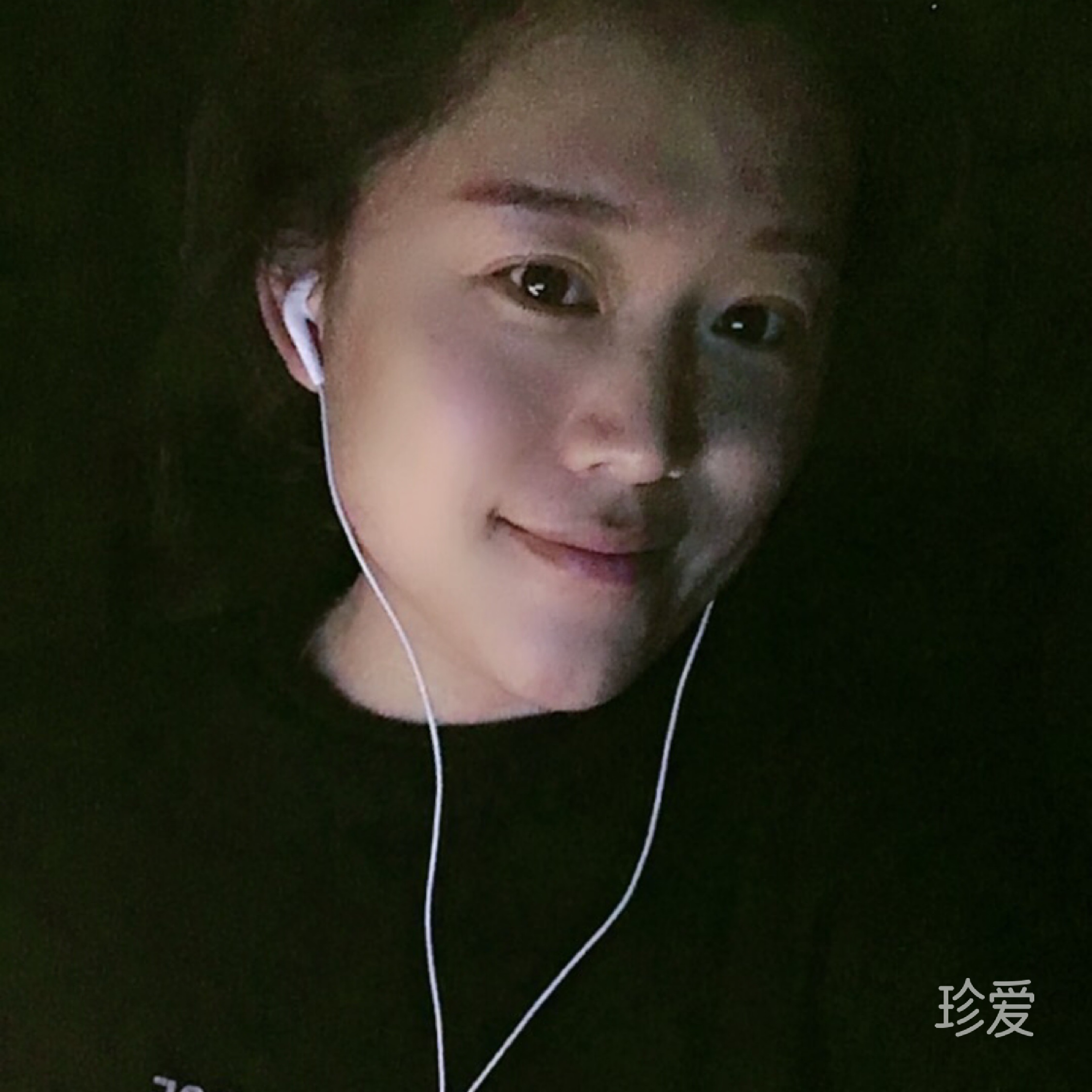 优雅的刺猬