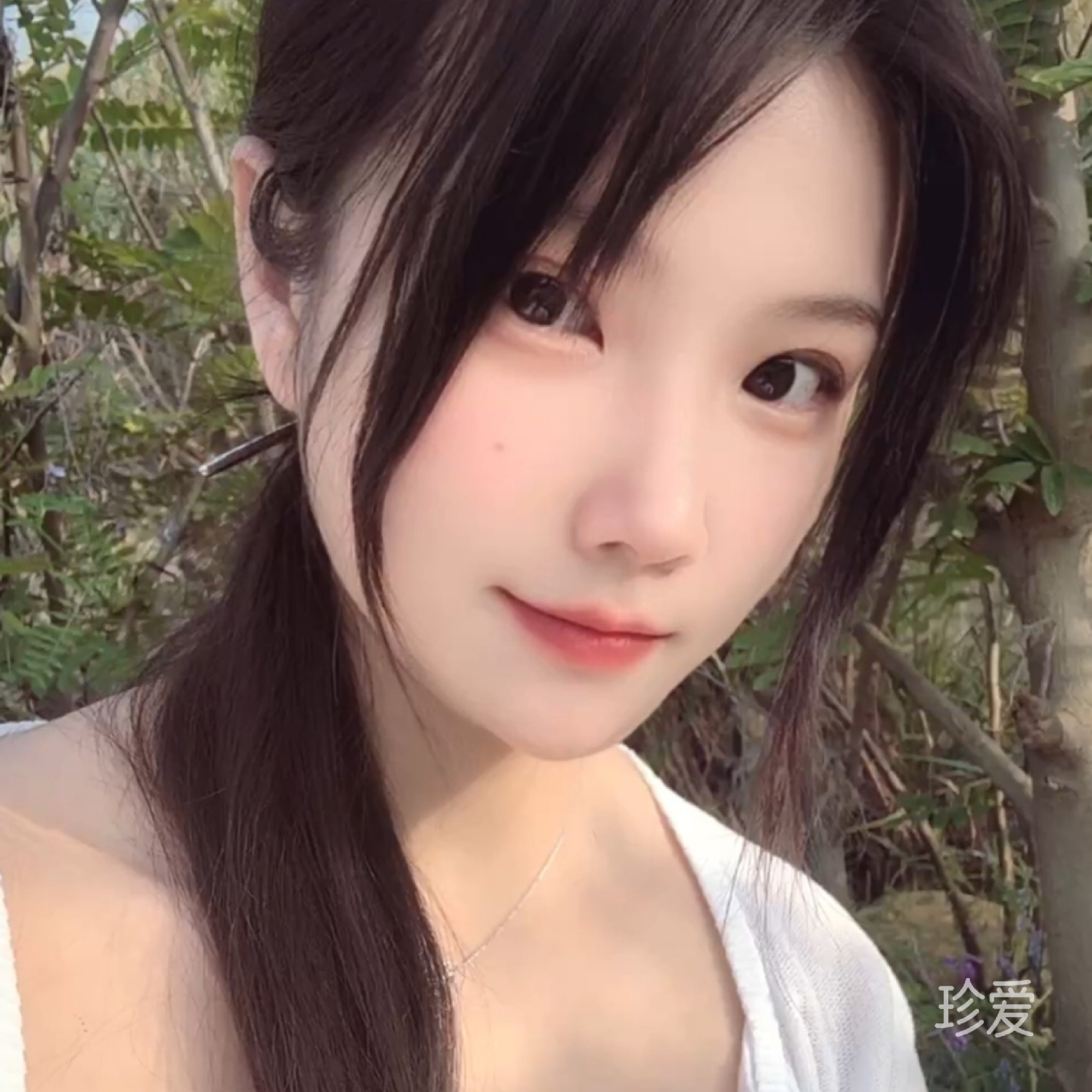 七七