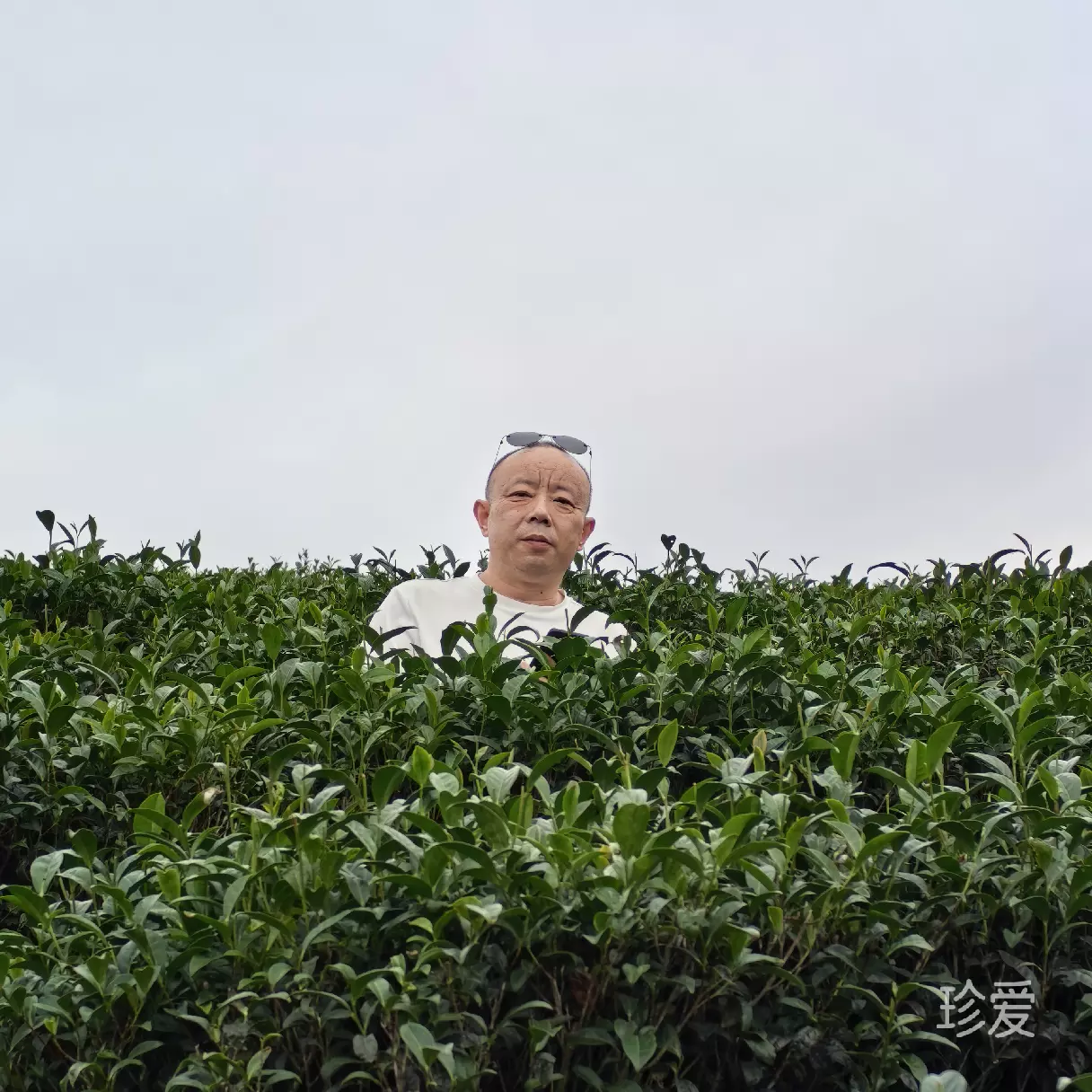 一个人单身
