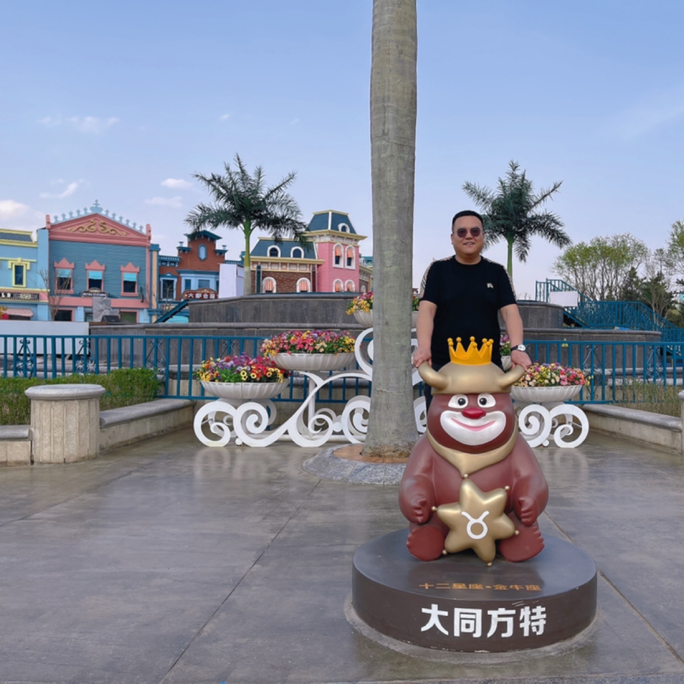 我想你身不由己