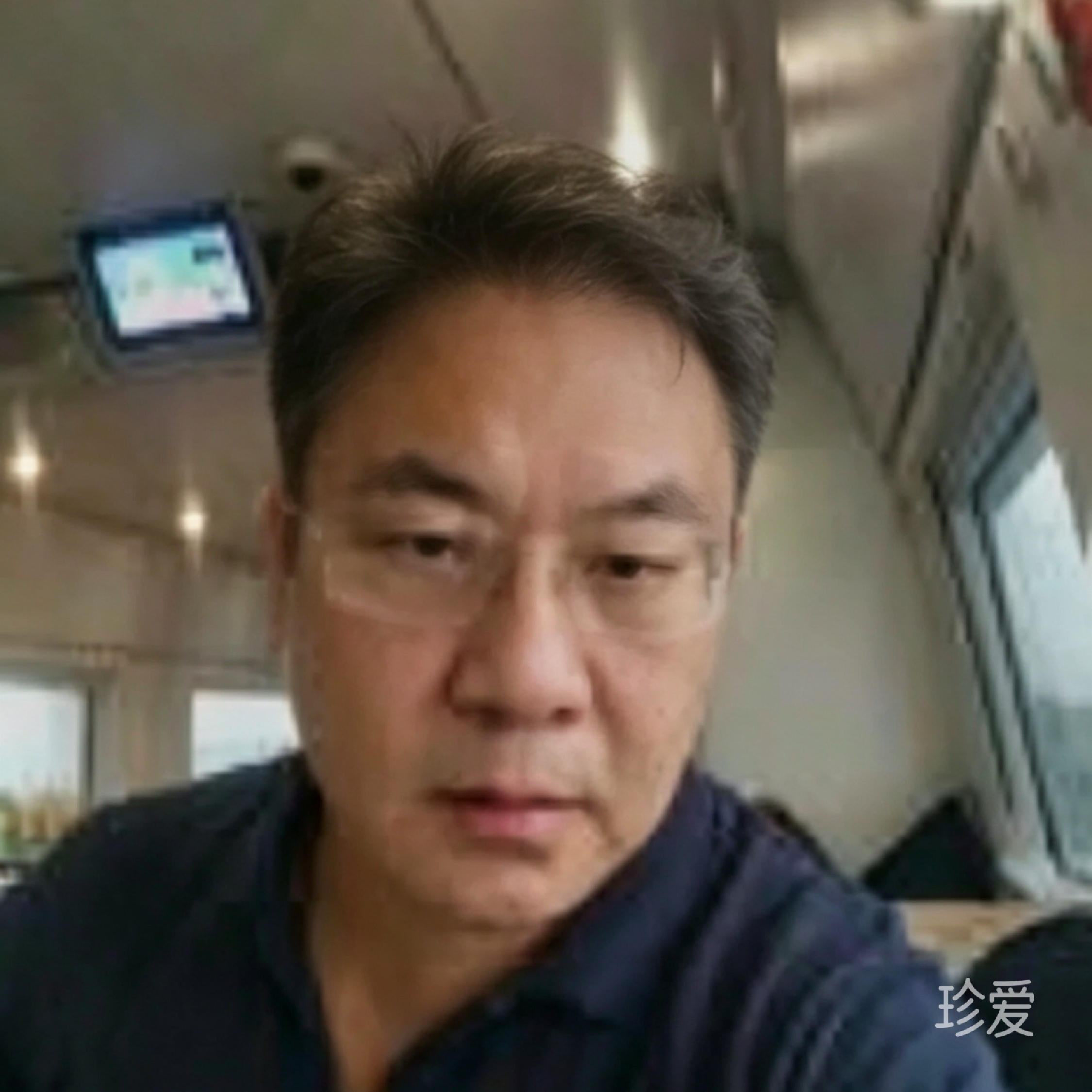 林中空地