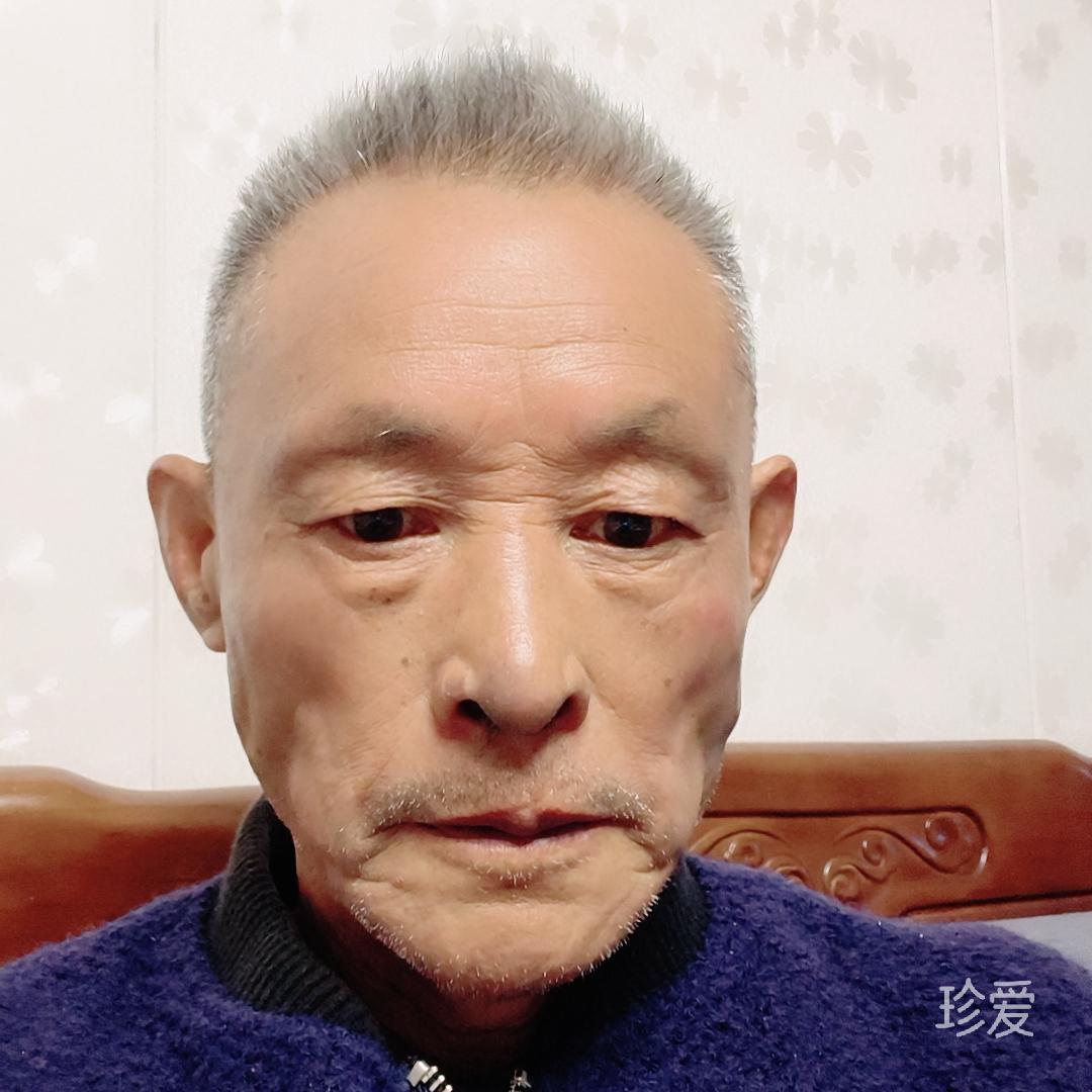 梦里寻音