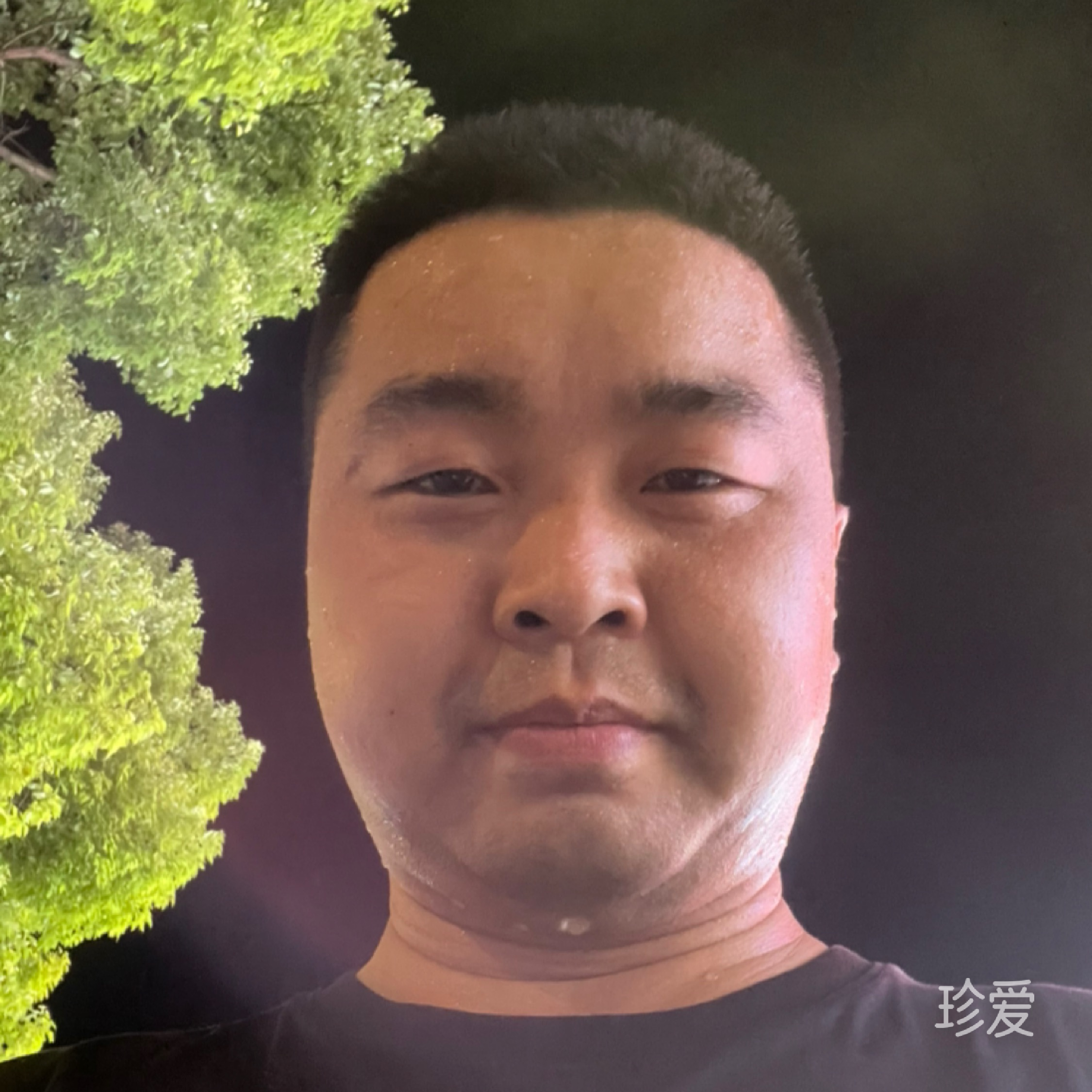 成来