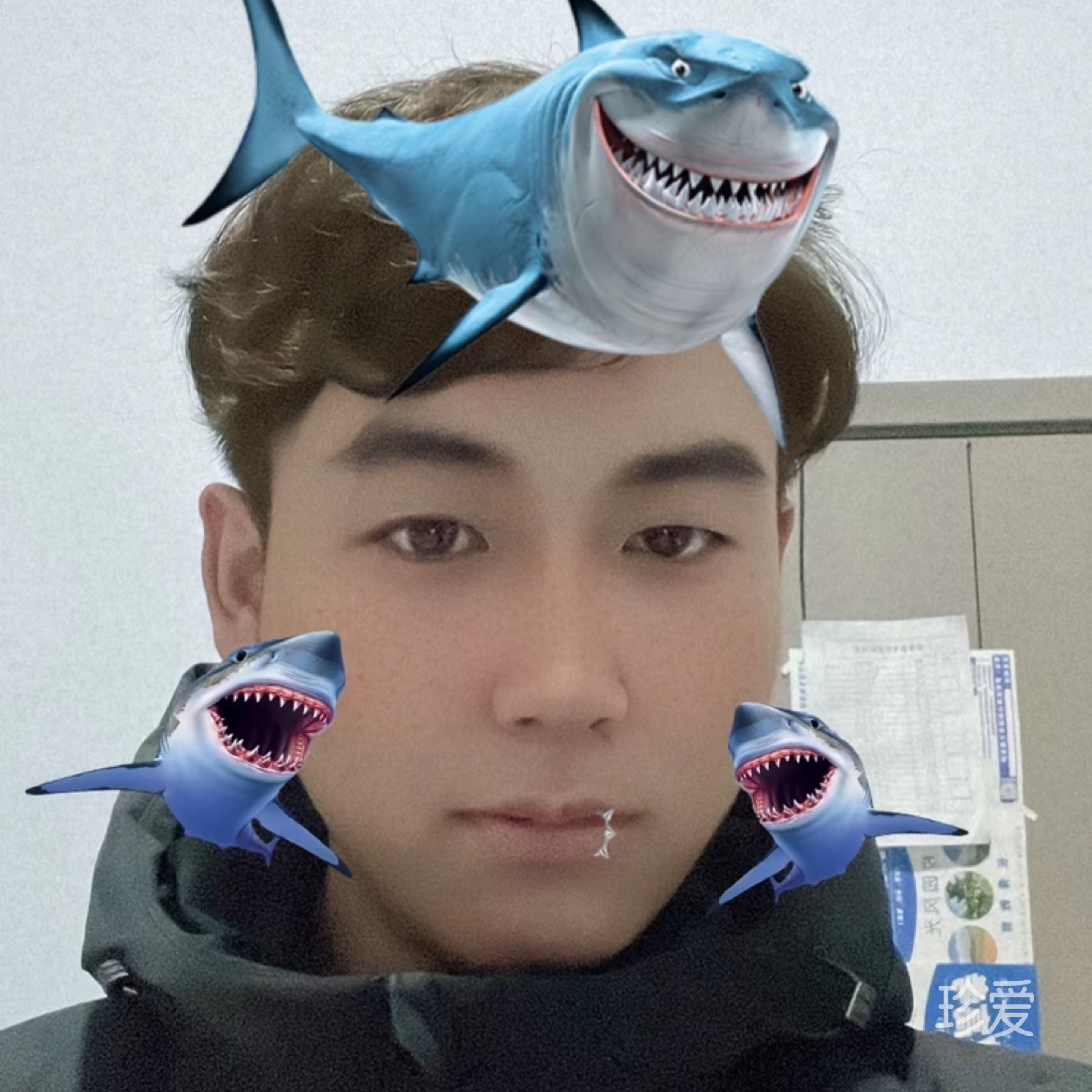 浩浩