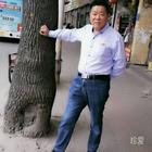 真不走尋常路