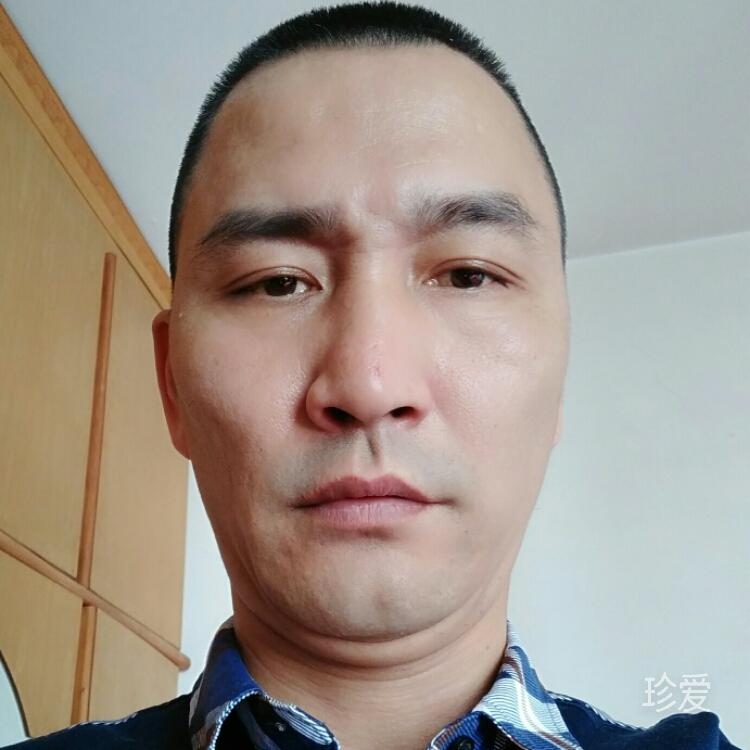 不是金牛