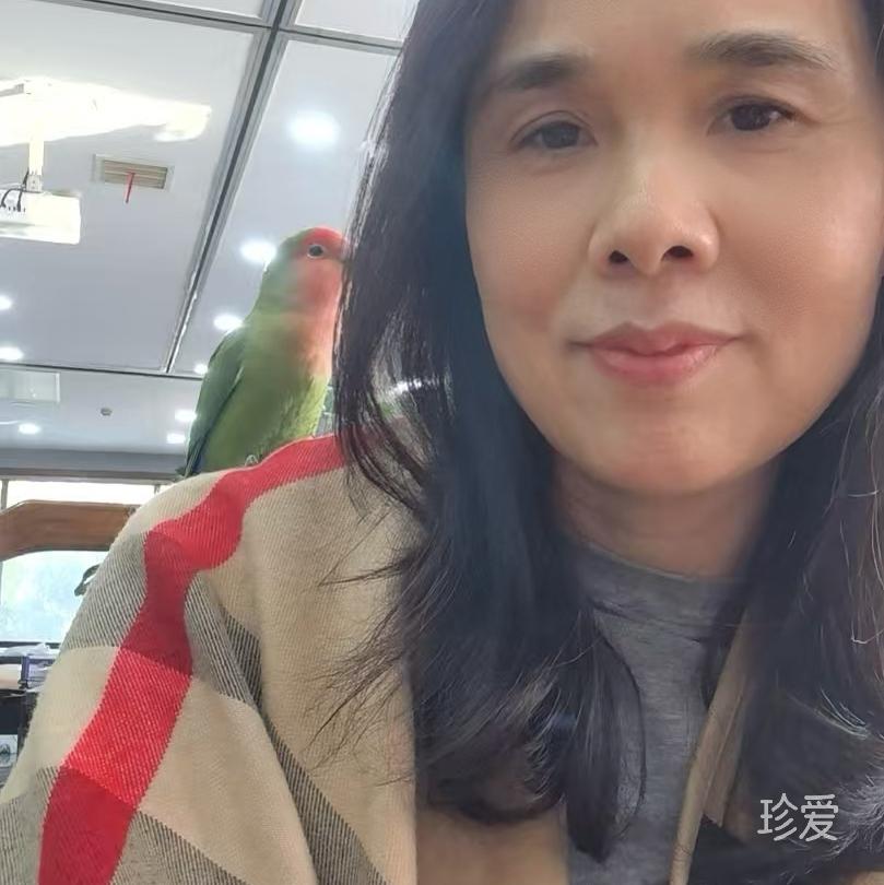 高傲着单身
